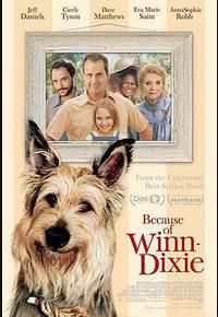 都是戴茜惹的祸