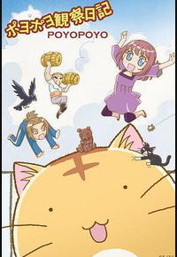 嘟嘟猫观察日记