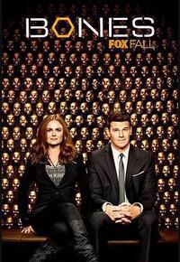 识骨寻踪 第九季