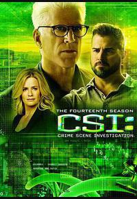 犯罪现场调查 第十四季