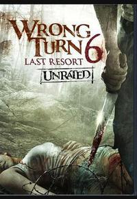 致命弯道6：终极审判