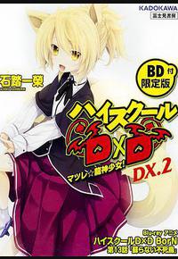 恶魔高校D×D BorN OAD