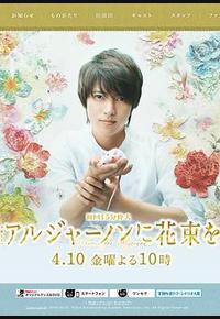 献给阿尔吉侬的花束