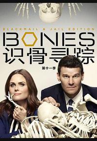 识骨寻踪 第十一季