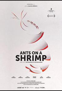 虾上蚂蚁