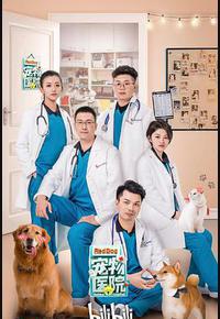宠物医院 宠物医院
