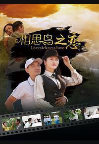 相思鸟之恋
