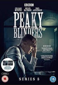 浴血黑帮 第五季