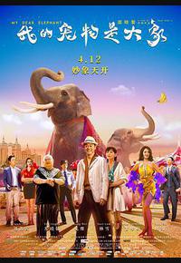 我的宠物是大象