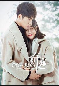 你是我的奇迹