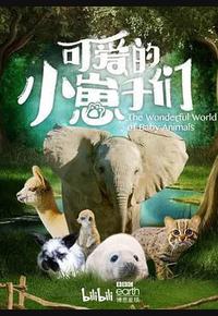 可爱的小崽子们