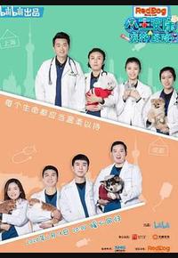 小主安康－宠物医院2