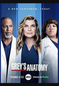 实习医生格蕾 第十八季