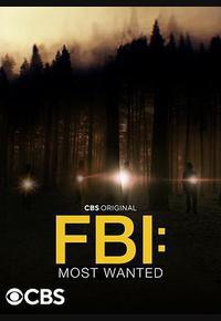 联邦调查局：通缉要犯 第四季