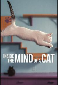 喵星人的奇思妙想