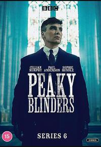 浴血黑帮 第六季