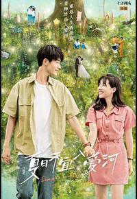 夏日不宜入爱河