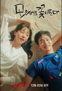 沙之花也有春天