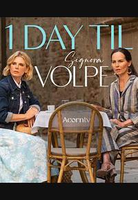 狐狸女士 第二季