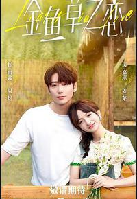 无法抗拒的谎言