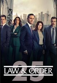 法律与秩序 第二十五季