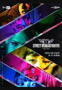 世界街头女斗士3