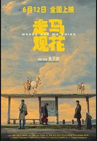 走马观花