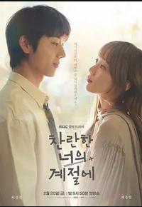 在你灿烂的季节