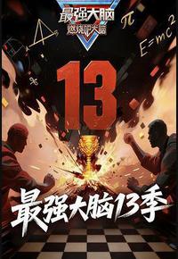 最强大脑 第十三季
