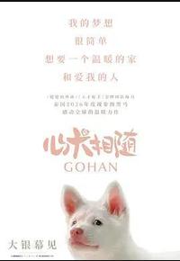心犬相随